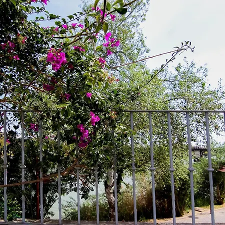 Monkeys Apartments Castilla Triana Seville Exterior photo
