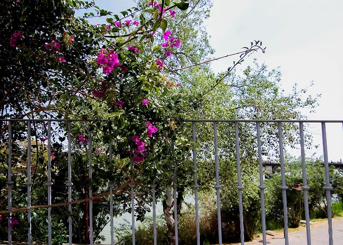 Monkeys Apartments Castilla Triana